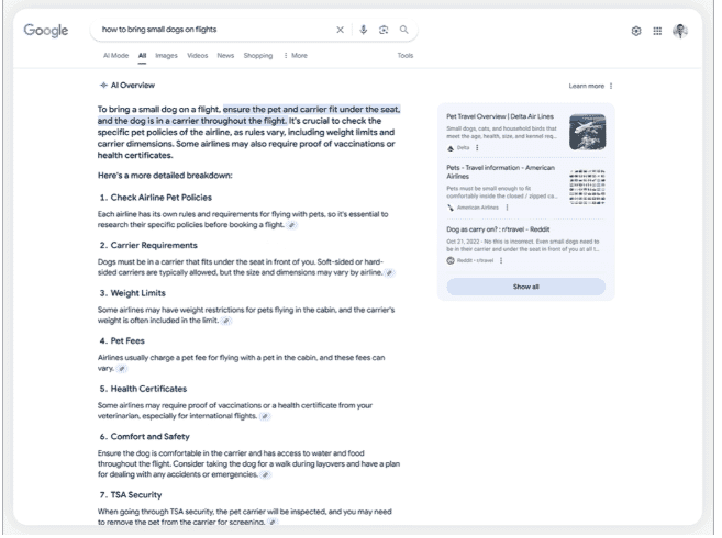 ai overview